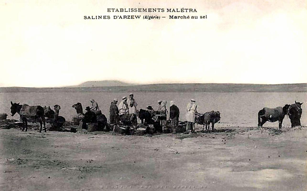 Arzew - Salines Maletra - Marche du Sel .jpg